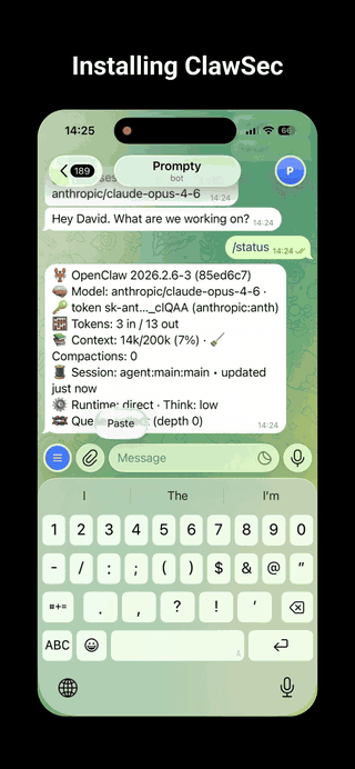 Install demo animated preview