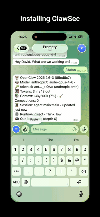 Install demo animated preview